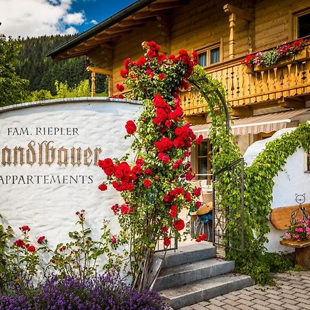 Appartments Jandlbauer Wagrain Dış mekan fotoğraf